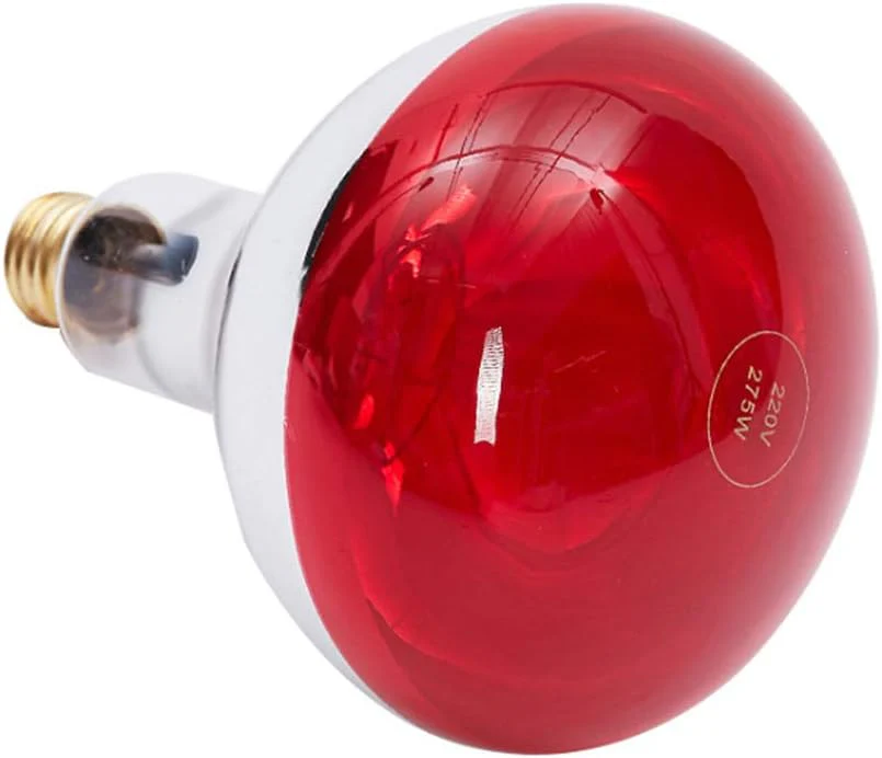 Foco de Terapia Infrarroja Rojo (2)