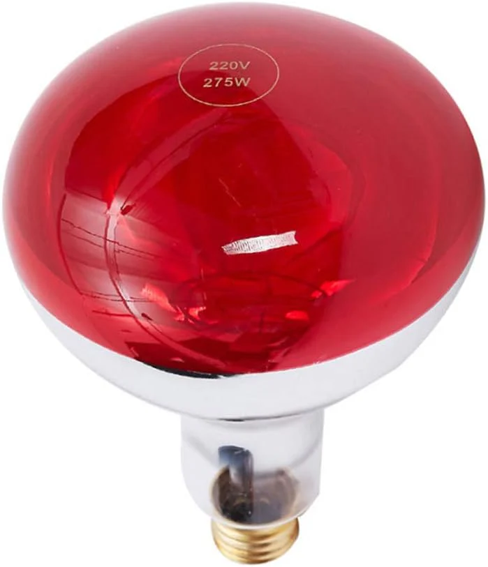 Foco de Terapia Infrarroja Rojo (3)