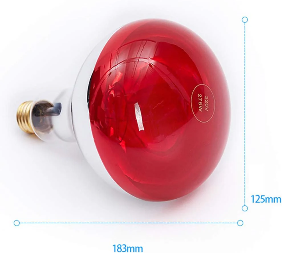 Foco de Terapia Infrarroja Rojo (4)